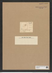 Amphitetras adriatica Kuetz. (de-Toni-Nr.: Genus 137, Species 3644) Zeichnungen Sammlung Grunow Nr. 7139 (NHMW-BOT-W0376107)
